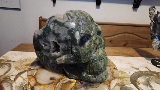 Huge high quality moss agate skull bing